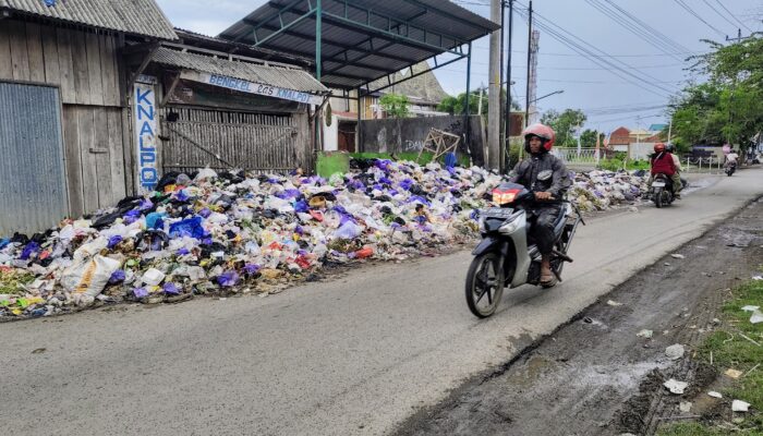 Geger Sampah Menggunung, Kepala DLH Katakan Pemkab Pemalang Tidak Memiliki TPA
