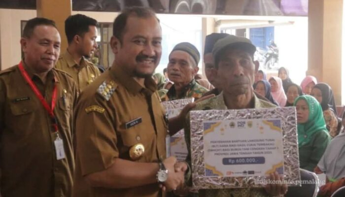 1.100 KPM Buruh Tani Cengkeh Pemalang Terima BLT DBHCHT Tahap I Tahun 2025