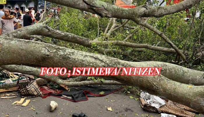 Duka Idulfitri di Pemalang: Pohon Beringin Tumbang, Dua Jemaah Meninggal Dunia