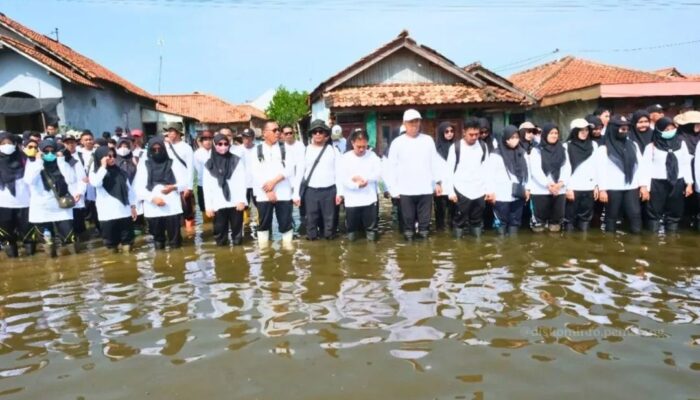 807 PPPK Pemalang Resmi Jadi ASN: Pengabdian Dimulai di Tengah Rob Desa Blendung