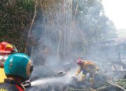 Diduga Korsleting Listrik Jadi Biang Kerok, Si Jago Merah Lahap Empat Rumah di Belik