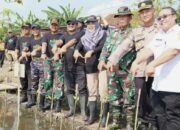 Pemalang Amankan Pesisir: 134 Ribu Mangrove Ditanam Lewat Aksi “Mageri Segoro”