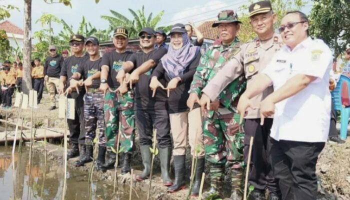 Pemalang Amankan Pesisir: 134 Ribu Mangrove Ditanam Lewat Aksi “Mageri Segoro”