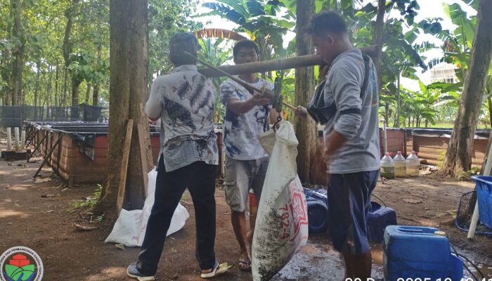 Wujudkan Mandiri Pangan, BUMDesa Kramat Mulya Gelar Panen Perdana Lele