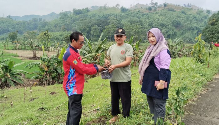 Kado Hijau dari Gunungbatu untuk Kabupaten Pemalang di HUT Ke : 451