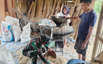 Kedermawanan Pak Salim: Petani di Cikuya Brebes Nikmati Giling Padi Tanpa Biaya