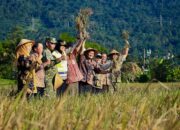 Jateng Panen Raya Serentak, Targetkan 3,35 Juta Ton Gabah di Awal 2026