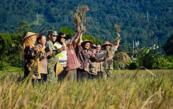 Jateng Panen Raya Serentak, Targetkan 3,35 Juta Ton Gabah di Awal 2026