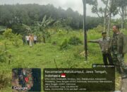Potensial! Danramil Watukumpul Cek Kelayakan Lahan KDKMP di Medayu