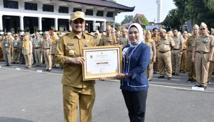 Inovasi Digital Berbuah Manis, Bank Pemalang Jadi Role Model Medsos Teraktif