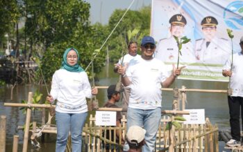 Pesisir Pemalang Dikepung Rob, Bupati Instruksikan Gerakan Serentak Tolak Pasif!