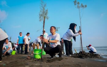 Mageri Segoro: Jawa Tengah Menjaga Pesisir dari Abrasi