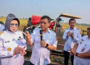 Jateng Kejar Target 10,5 Juta Ton Padi, Ahmad Luthfi Siapkan Strategi Antikrisis Kemarau