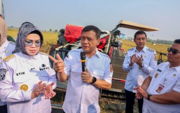 Jateng Kejar Target 10,5 Juta Ton Padi, Ahmad Luthfi Siapkan Strategi Antikrisis Kemarau