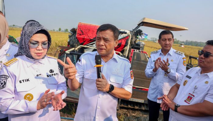 Jateng Kejar Target 10,5 Juta Ton Padi, Ahmad Luthfi Siapkan Strategi Antikrisis Kemarau