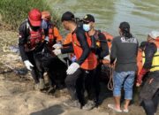Tragedi Sungai Comal: Jasad Bocah Enam Tahun Akhirnya Ditemukan