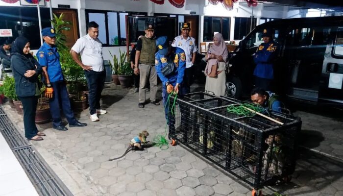Ramai Dikeluhkan Warga, Belasan Pawang Topeng Monyet di Pemalang Diciduk
