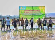 Gerakan Tanam Serempak, Program OPLAH Dongkrak Produksi Padi Pemalang