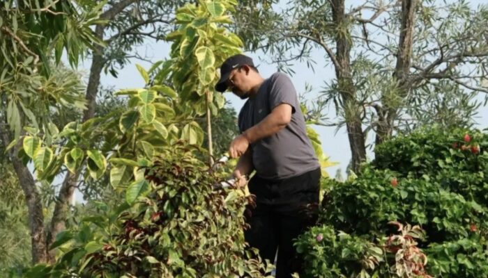 Wujudkan Pemalang Rhapsodi, Bupati Anom Gerakkan Aksi Bersih Lingkungan