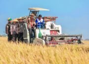 Petani Pemalang Gagal Panen? Gubernur Luthfi: Jangan Sentuh Pinjol!