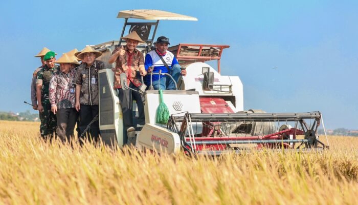 Petani Pemalang Gagal Panen? Gubernur Luthfi: Jangan Sentuh Pinjol!