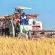 Petani Pemalang Gagal Panen? Gubernur Luthfi: Jangan Sentuh Pinjol!