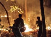 Geger Angin Malam Pembawa si Jago Merah, Rumpun Bambu Kalitorong Pemalang Ludes Terbakar