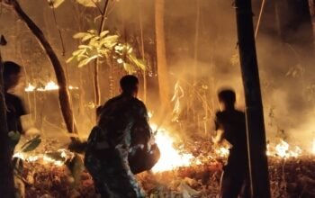 Geger Angin Malam Pembawa si Jago Merah, Rumpun Bambu Kalitorong Pemalang Ludes Terbakar