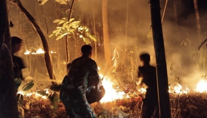 Geger Angin Malam Pembawa si Jago Merah, Rumpun Bambu Kalitorong Pemalang Ludes Terbakar