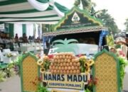 Kafilah Pemalang Tampilkan Nanas Madu dan Budaya di Pawai Ta’aruf MTQ Nasional XXXI Semarang