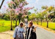 TANPA TERBANG KE JEPANG, DESA WANARATA MILIKI “SAKURA TROPIS” SENDIRI