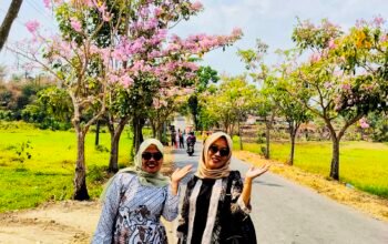 TANPA TERBANG KE JEPANG, DESA WANARATA MILIKI “SAKURA TROPIS” SENDIRI